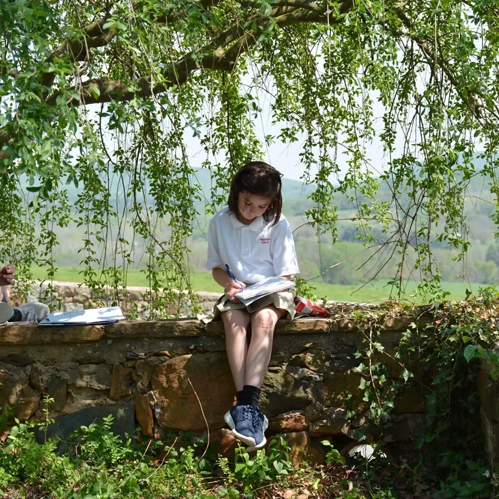 student sitting on outdoor rock wall reading a book