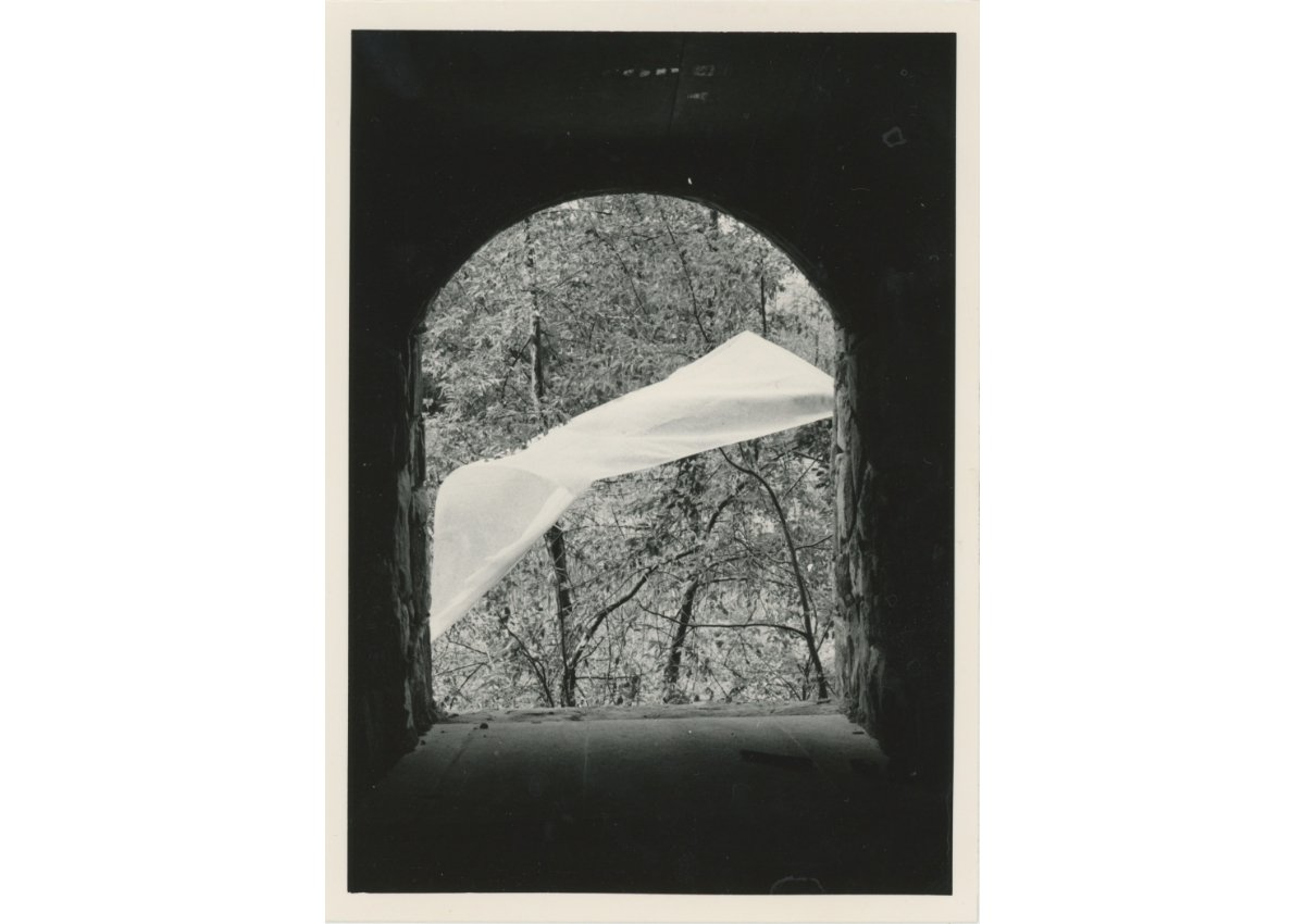student photo of an arched window