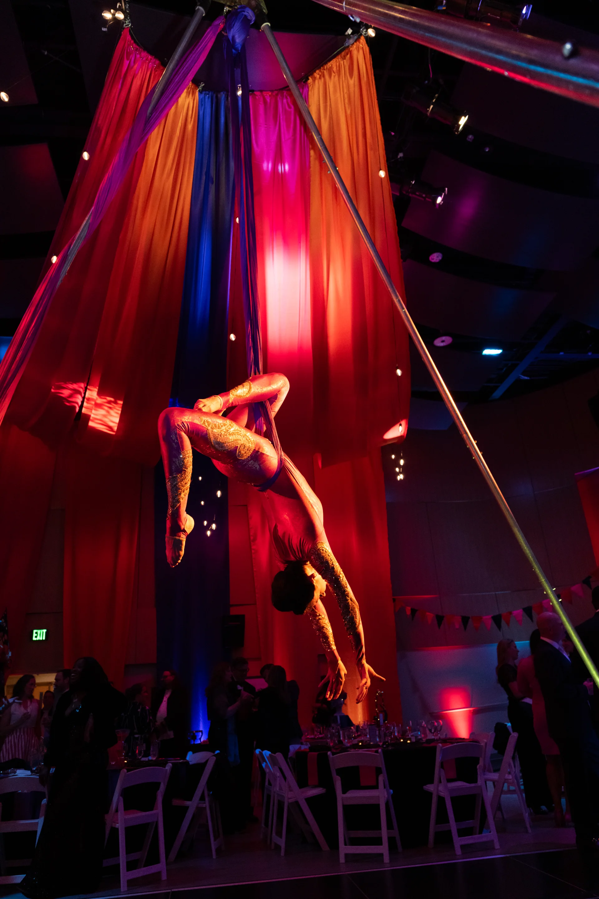 L1072291.webp