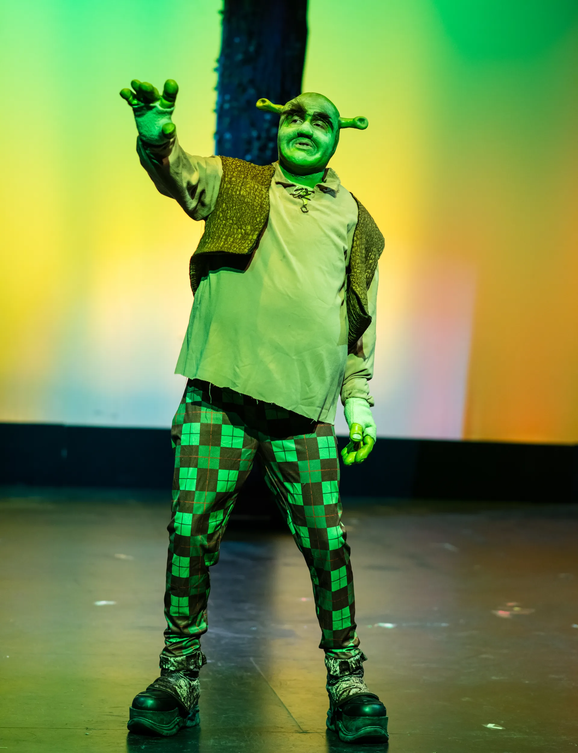 Scenes from School: I Was Shreked