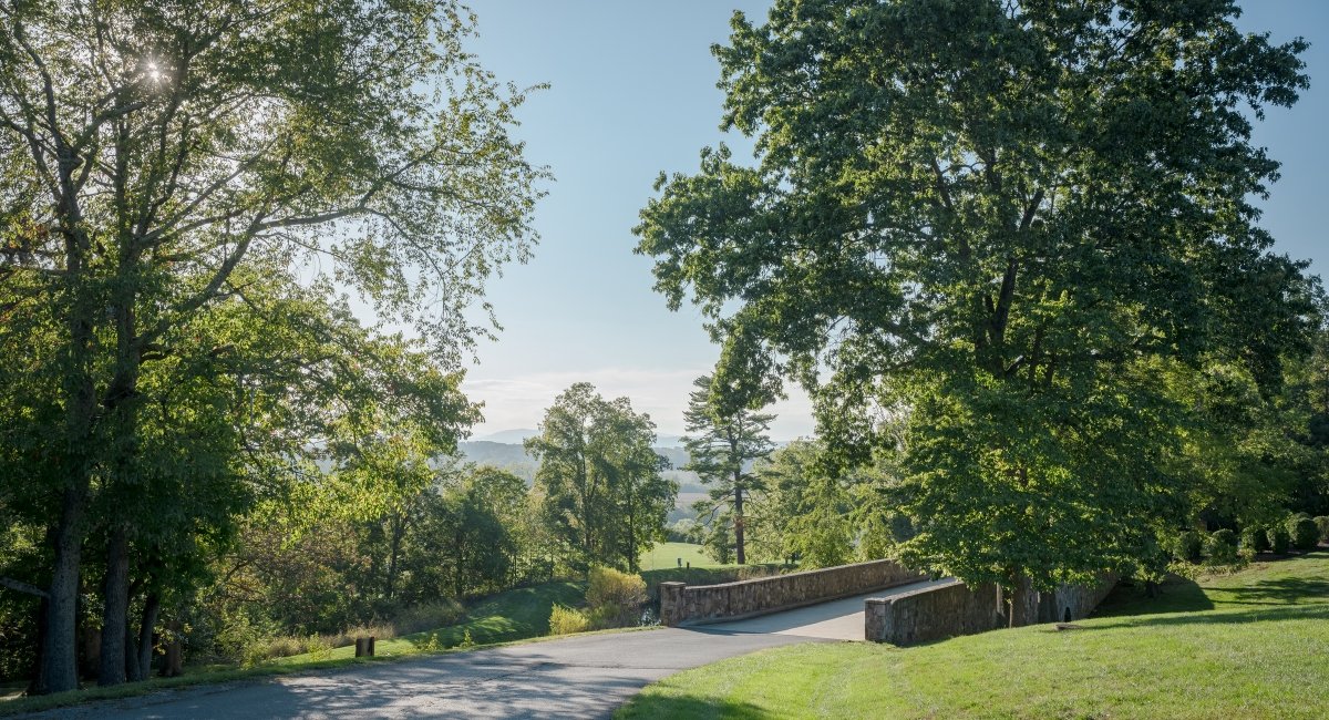 outdoor bridge and trees on campus