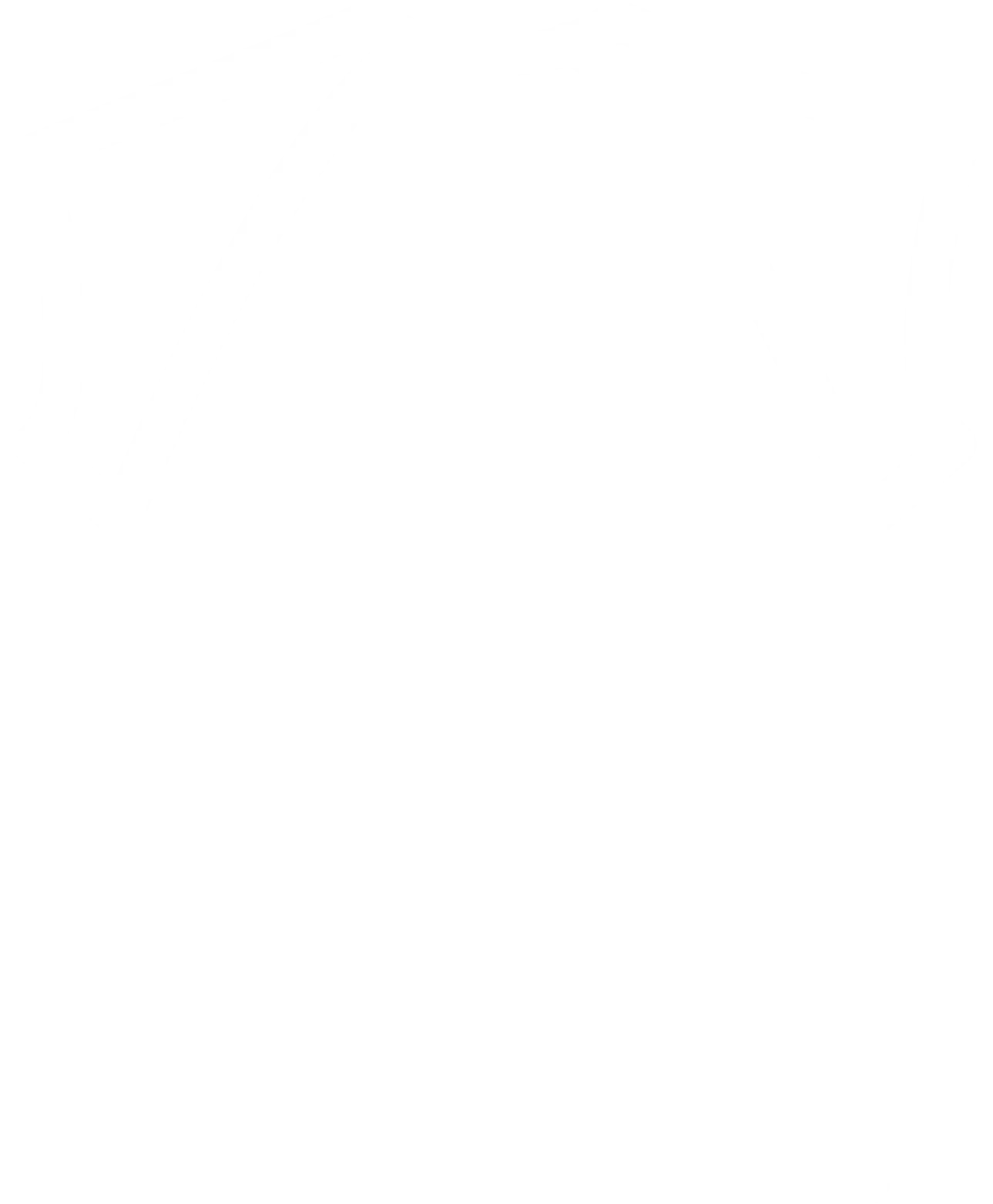 team jersey icon