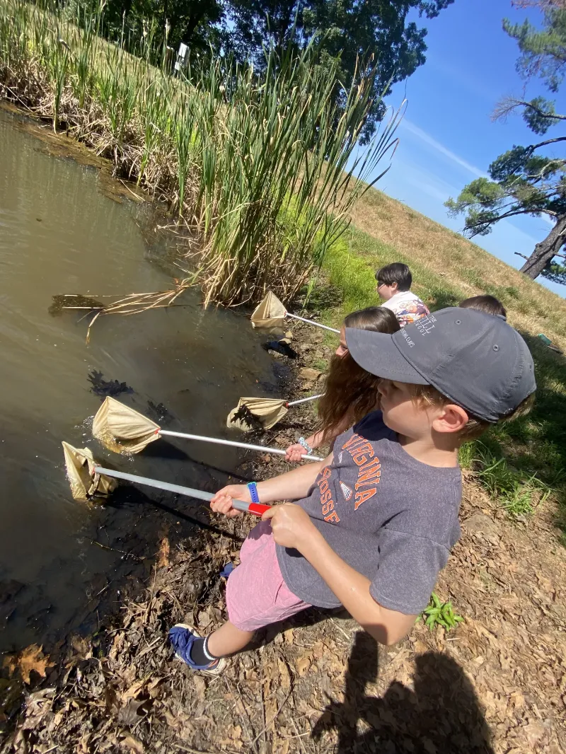 Fun in the Sun: A Summer of Discovery at Wakefield School